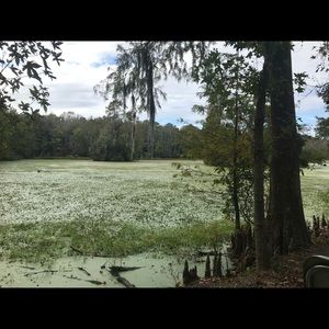 Meet your Posher, Lesa